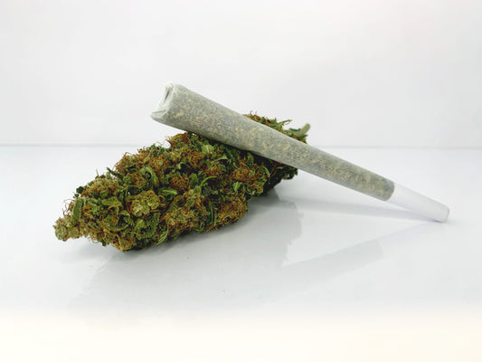 Pre-rolled Blue Dream THC-X